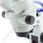 microscopio da gemmologia binoculare