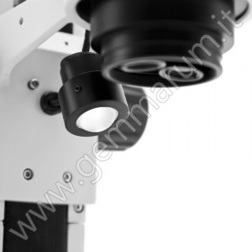 Trinocular stereozoom microscope