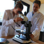 Microscopio da gemmologia trinoculare