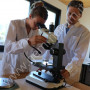 GEMMOLOGICAL MICROSCOPE Trinocular