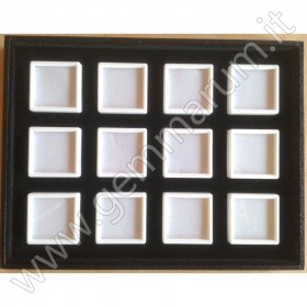 Tray with 12 boxes 5x5