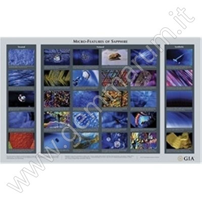 GIA Micro Features of Sapphire Chart poster sulle inclusioni dello zaffiro