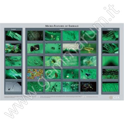 GIA Wandkarte Emerald Inclusions Chart Einschüsse von Smaragden
