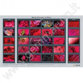 GIA wallchart Ruby Micro Features Chart