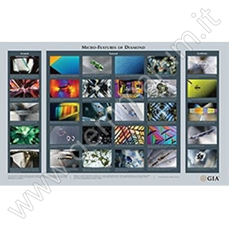 GIA Diamond Micro Features Chart Poster inclusioni Diamanti