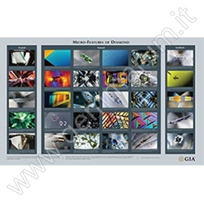 GIA Wandkarte Diamond Micro Features Chart Poster von Diamanteinschlüssen