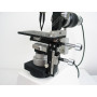 STEREO-ZOOM-IMMERSIONS-MICROSCOPE