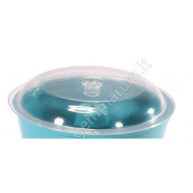 Transparent Lid for Raytech Tumblers
