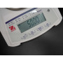 jewelry scale legal-for-trade