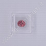 Resin Gel Box 3x3x1.6 cm Transparent