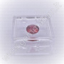 Scatoline trasparenti porta pietre Gel 3x3x1.6 cm