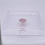 Scatolina trasparente porta pietre Gel 5x5x1.08 cm