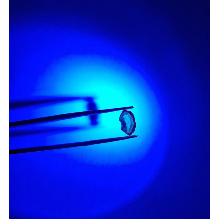 YZYOE 6LED torcia ricaricabile di riconoscimento giada, Super Bright Gioielli Diamond Detector Lampada. Bianco Giallo Rosso Luce Blu 395nm e 365nm UV