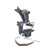 Professional Leica IVESTA 3 Binocular Microscope