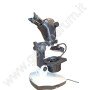 Professional Leica IVESTA 3 Binocular Microscope