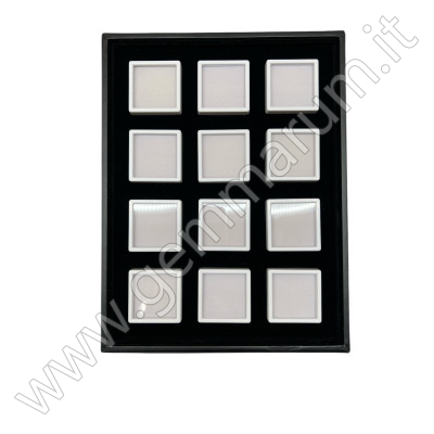 Tray with 12 boxes 5x5 - white