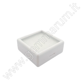 Gemstone DISPLAY BOX 4X4 plastic - WHITE