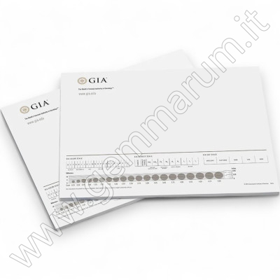 Diamond Sorting Pads (Pack of 2) 28x22