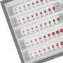 Edelsteine-Größen- und Form-Set - Rubine und Saphier Auswahlset