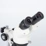 Motic Stereo Microscope