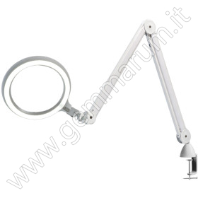 LAMPADA LUCE NORDICA 6000°K CON LENTE