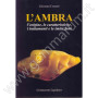 Giovanni Corsetti – Collezione di Gemmologia: Diamante, Gemme, Perla e Ambra