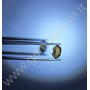 Gem-O-Light LED TASCHENLAMPE