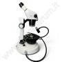 iLED Gemmologischer Mikroskopständer mit Zeiss Stemi 305 Optik