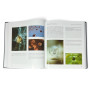 PHOTOATLAS OF INCLUSIONS IN GEMSTONES 1