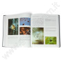PHOTOATLAS OF INCLUSIONS IN GEMSTONES 1