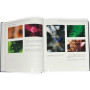 PHOTOATLAS OF INCLUSIONS IN GEMSTONES 2