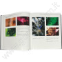 PHOTOATLAS OF INCLUSIONS IN GEMSTONES 2