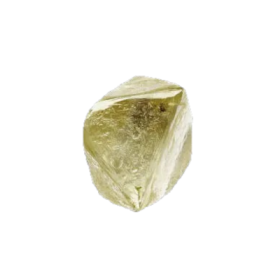 Kopie von Kopie von GEMME ORGANICHE