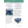 The Gem Cutters Handbook: A Guide for Gem Cutters and Collectors - Dan Lynch