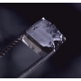 copy of copy of copy of copy of copy of GEMME ORGANICHE