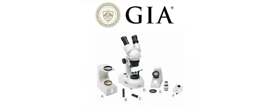 GIA GEM INSTRUMENT